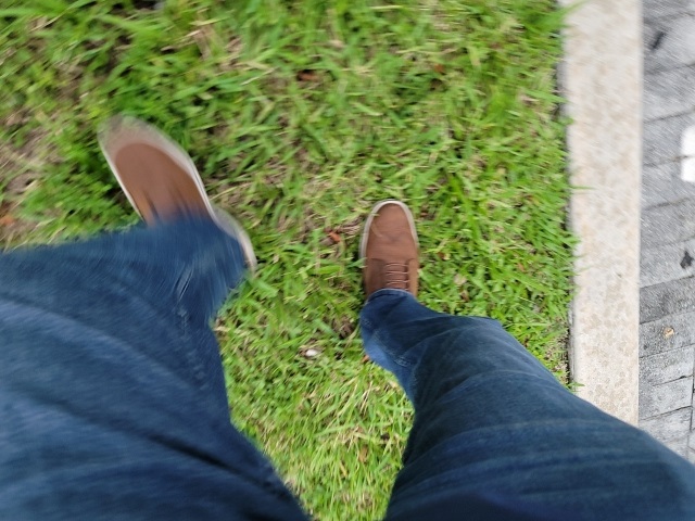 View 5