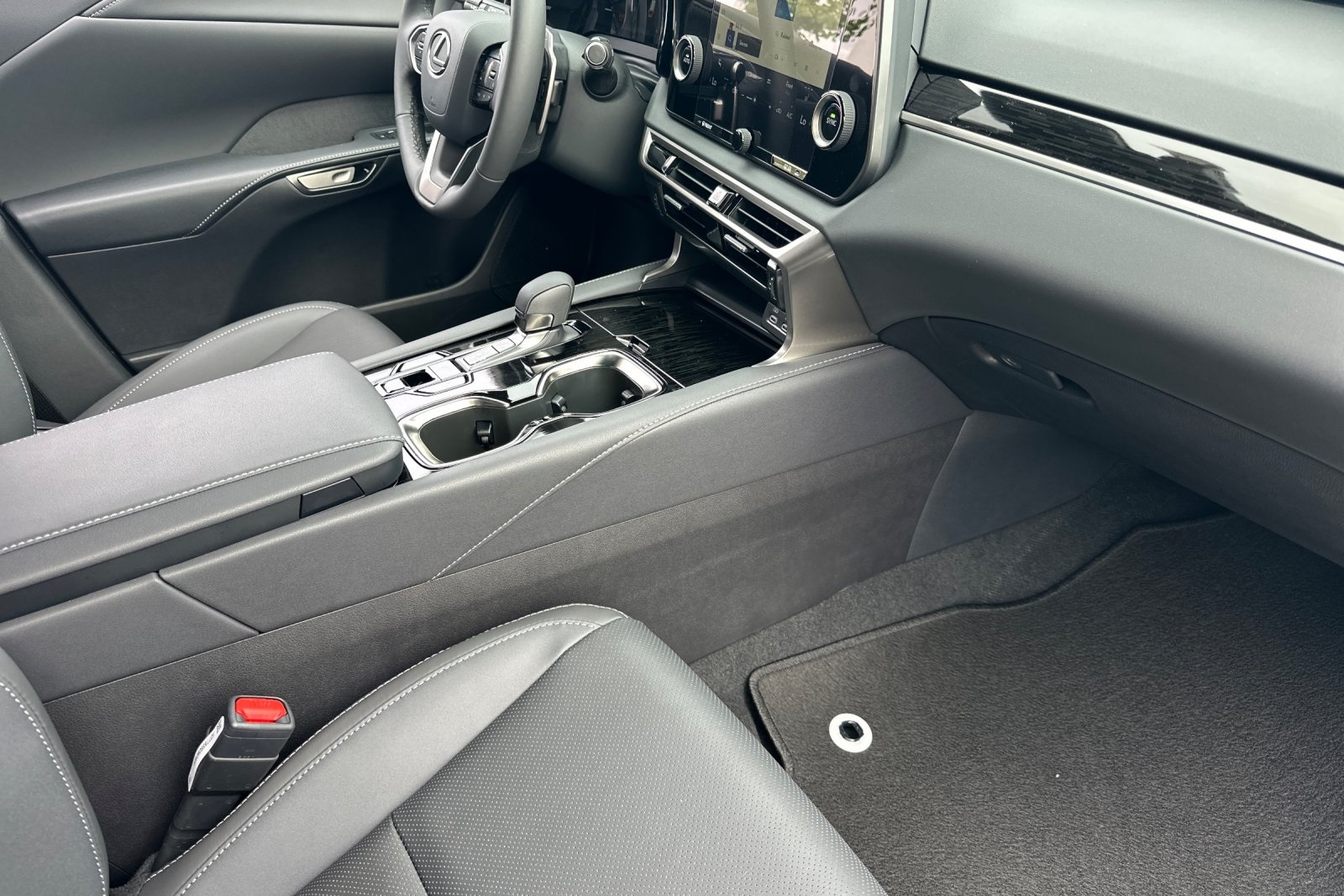 2025 Lexus RX 350 photo 10