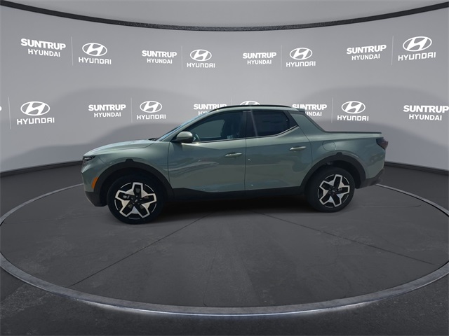 Santa Cruz Limited