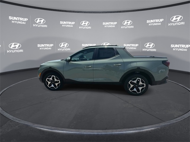 Santa Cruz Limited