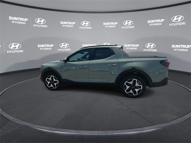Santa Cruz Limited