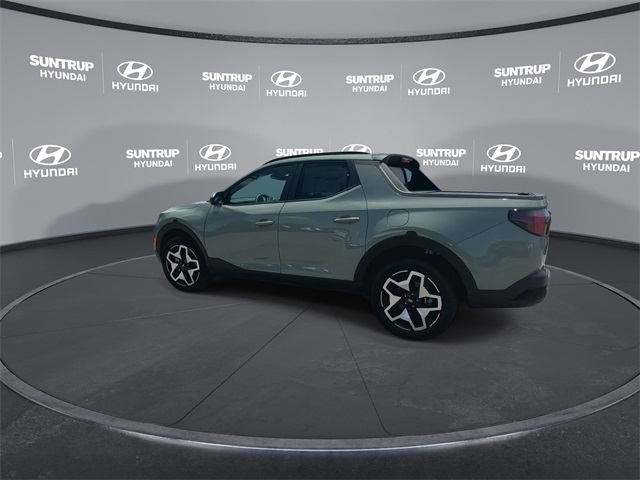 Santa Cruz Limited