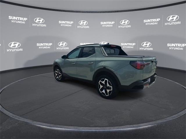 Santa Cruz Limited