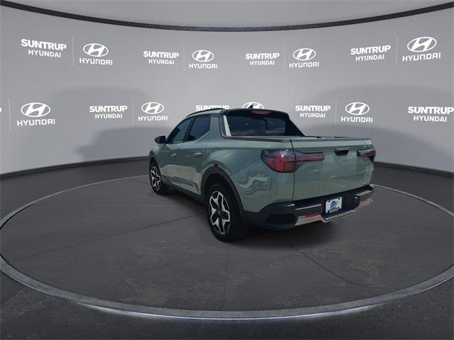Santa Cruz Limited