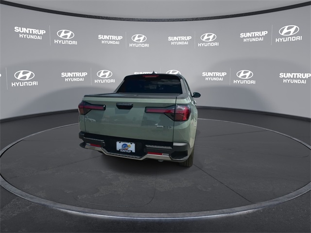 Santa Cruz Limited