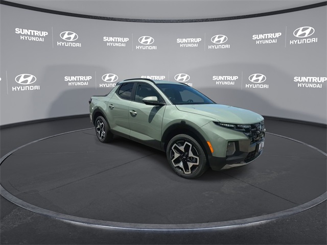 Santa Cruz Limited