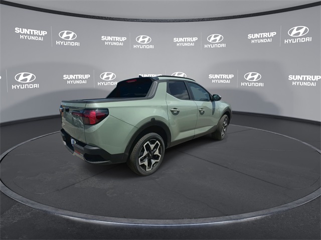 Santa Cruz Limited