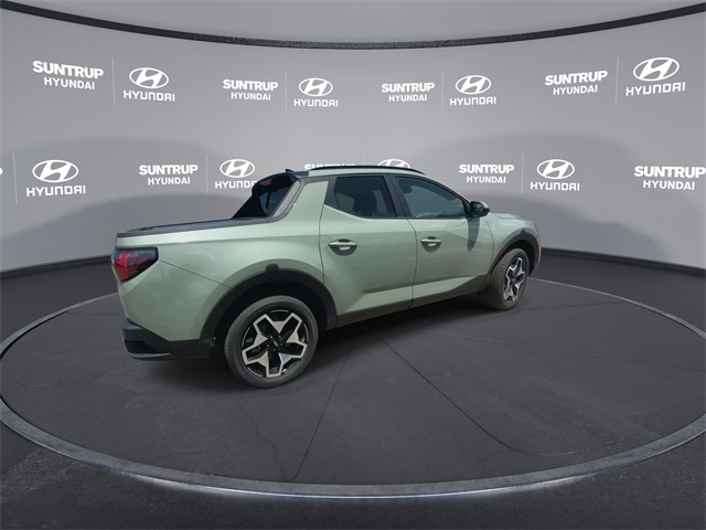 Santa Cruz Limited