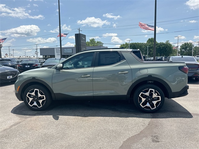 Santa Cruz Limited