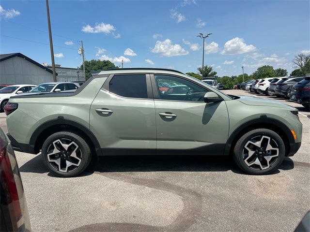 Santa Cruz Limited