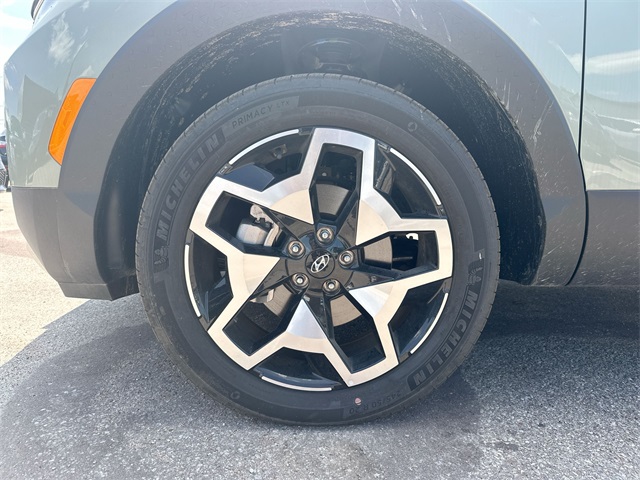 Santa Cruz Limited