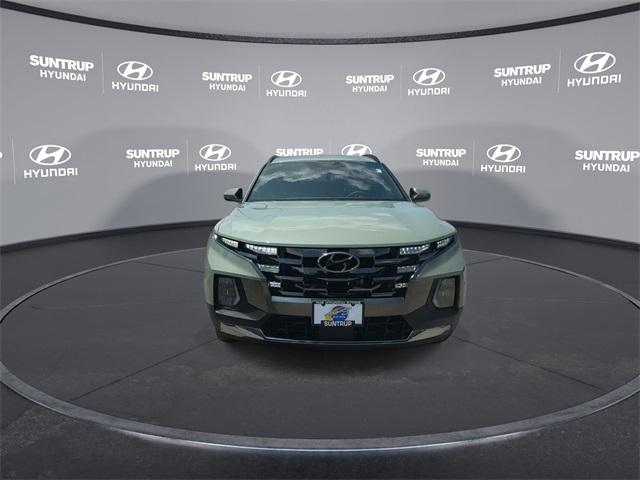 Santa Cruz Limited