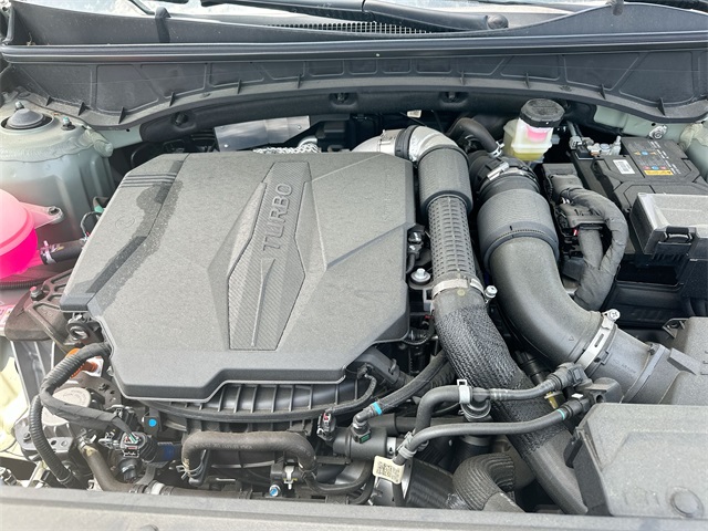 Santa Cruz Limited