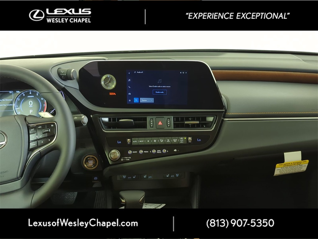 2025 Lexus ES 350 photo 10
