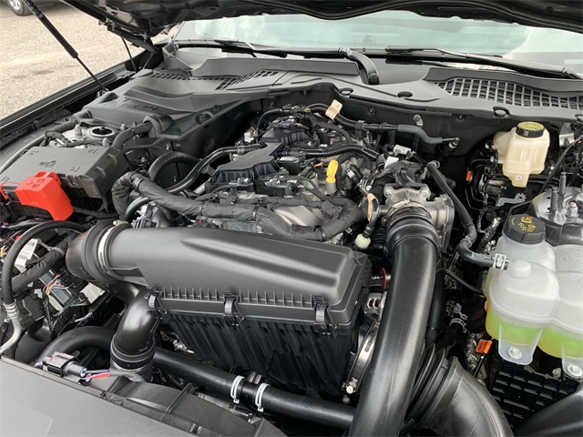 2025 Carbonized Gray Metallic Ford Mustang EcoBoost Premium RWD Coupe