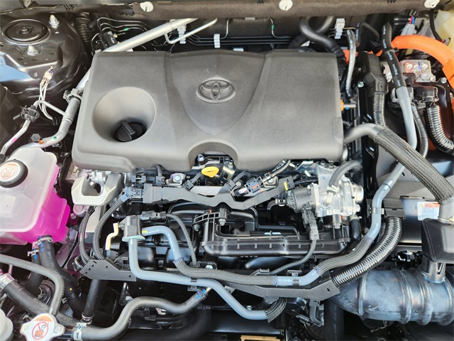 2025 Toyota RAV4 Hybrid XLE photo 14