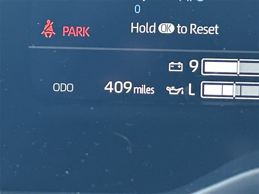 2026 Toyota Tundra 1794 Edition photo 18