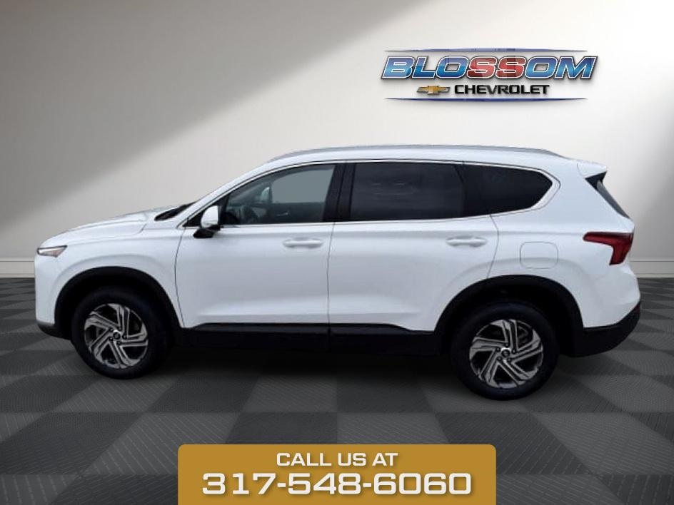 2023 White Pearl Hyundai Santa Fe SEL AWD SUV