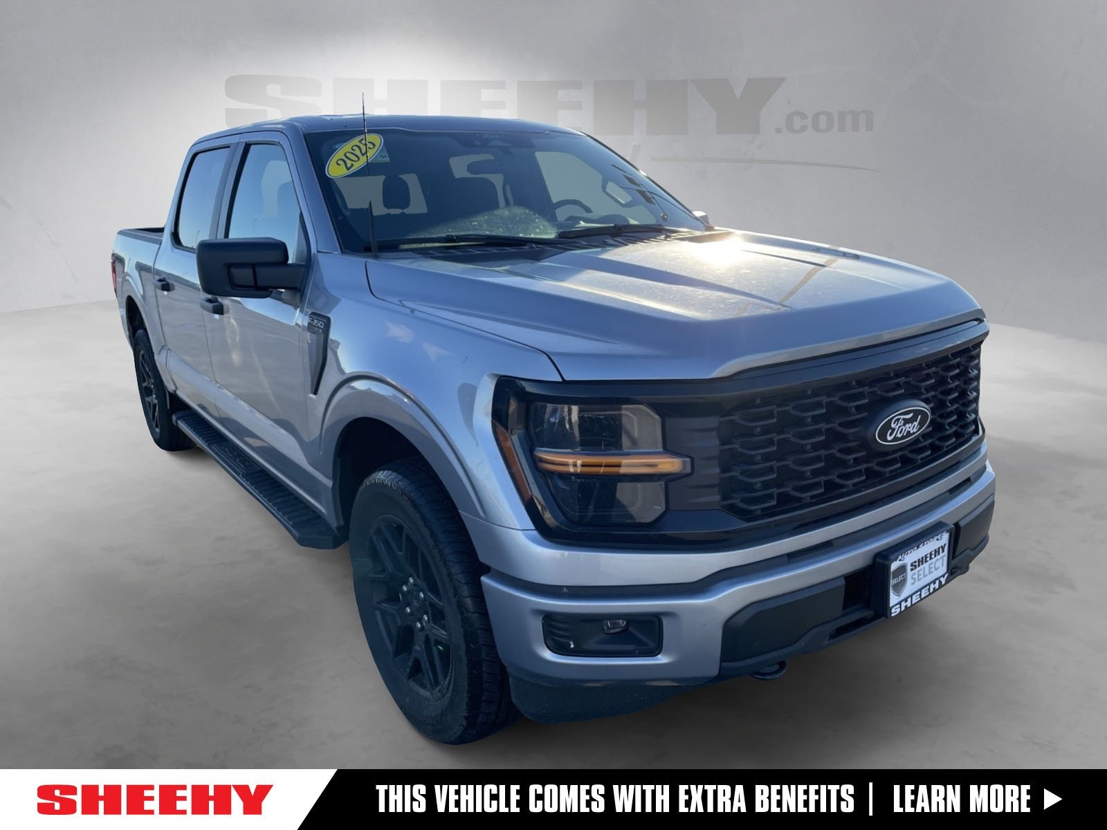2025 Ford F-150 STX's photo