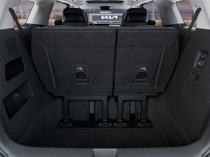 2026 Kia Carnival SX Prestige photo 18