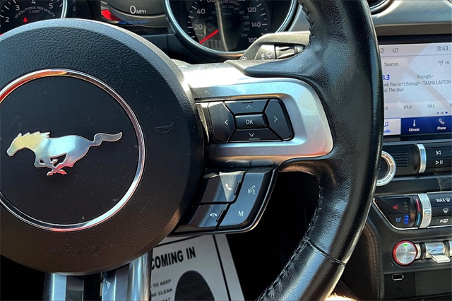 2023 Gray Metallic Ford Mustang EcoBoost Premium RWD Convertible