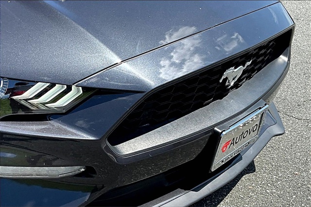 2023 Gray Metallic Ford Mustang EcoBoost Premium RWD Convertible