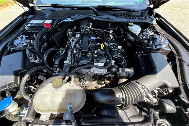 2023 Gray Metallic Ford Mustang EcoBoost Premium RWD Convertible