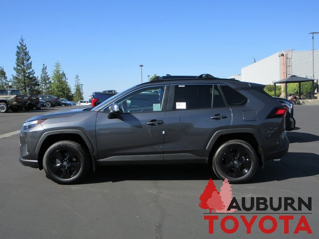 2025 Toyota RAV4 XLE photo 3