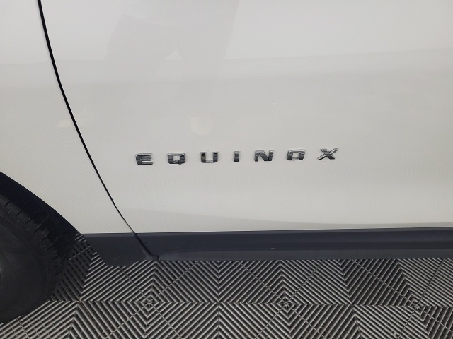 Image-6