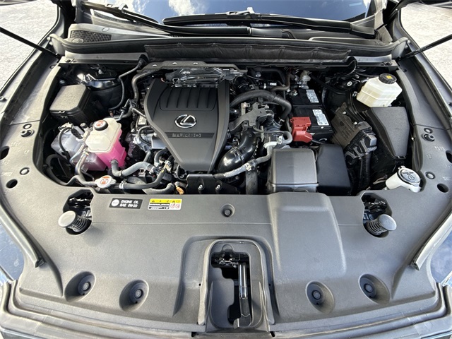 Used 2024 Lexus RX SUV