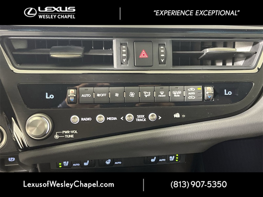 2025 Lexus ES 300h photo 19