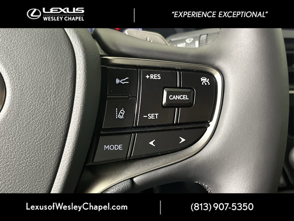 2025 Lexus ES 300h photo 23
