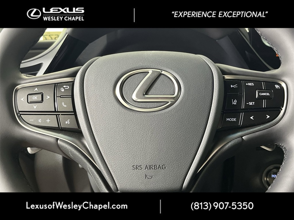 2025 Lexus ES 300h photo 24