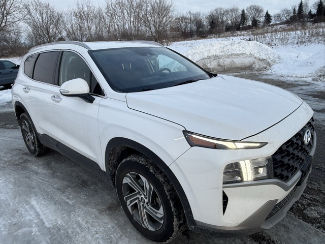 2023 Hyundai Santa Fe SEL's photo