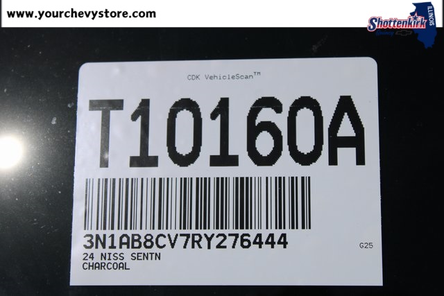 Image-3