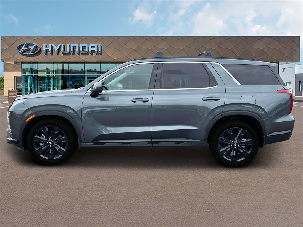 Palisade XRT
