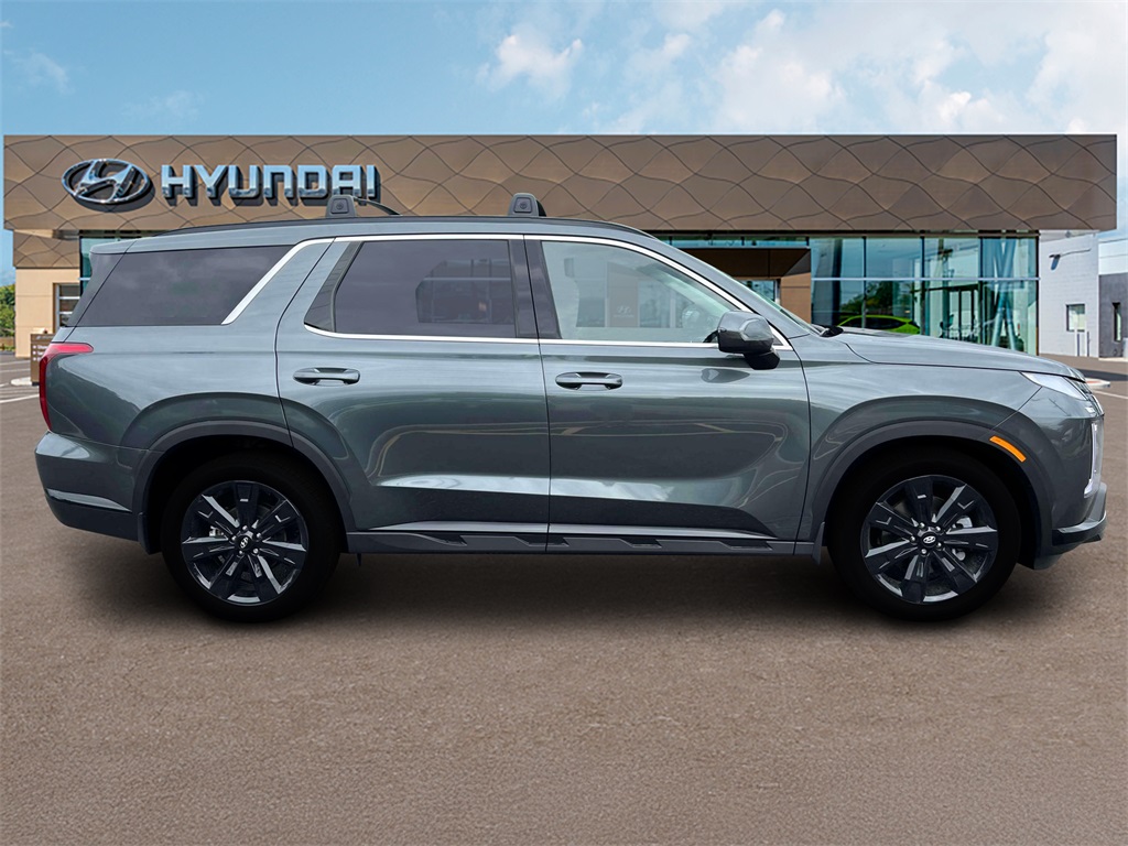 Palisade XRT