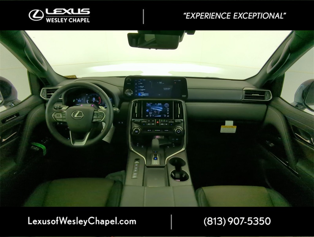 2025 Lexus LX photo 9