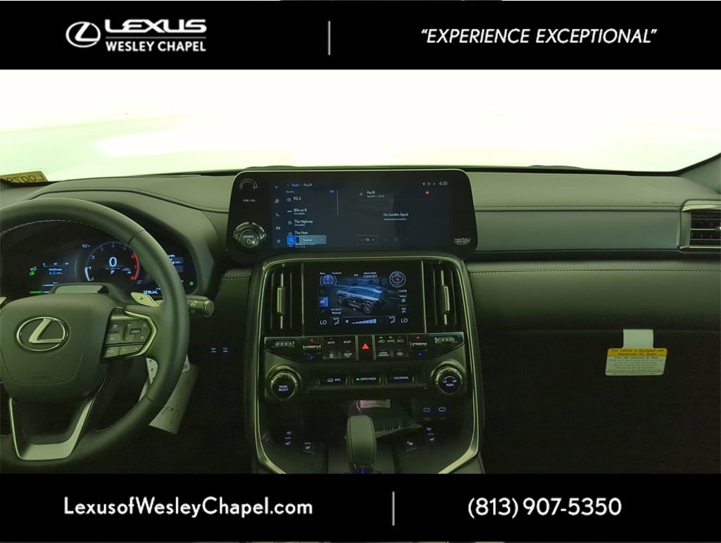 2025 Lexus LX photo 11
