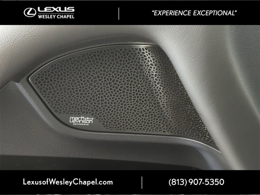 2025 Lexus LX photo 14