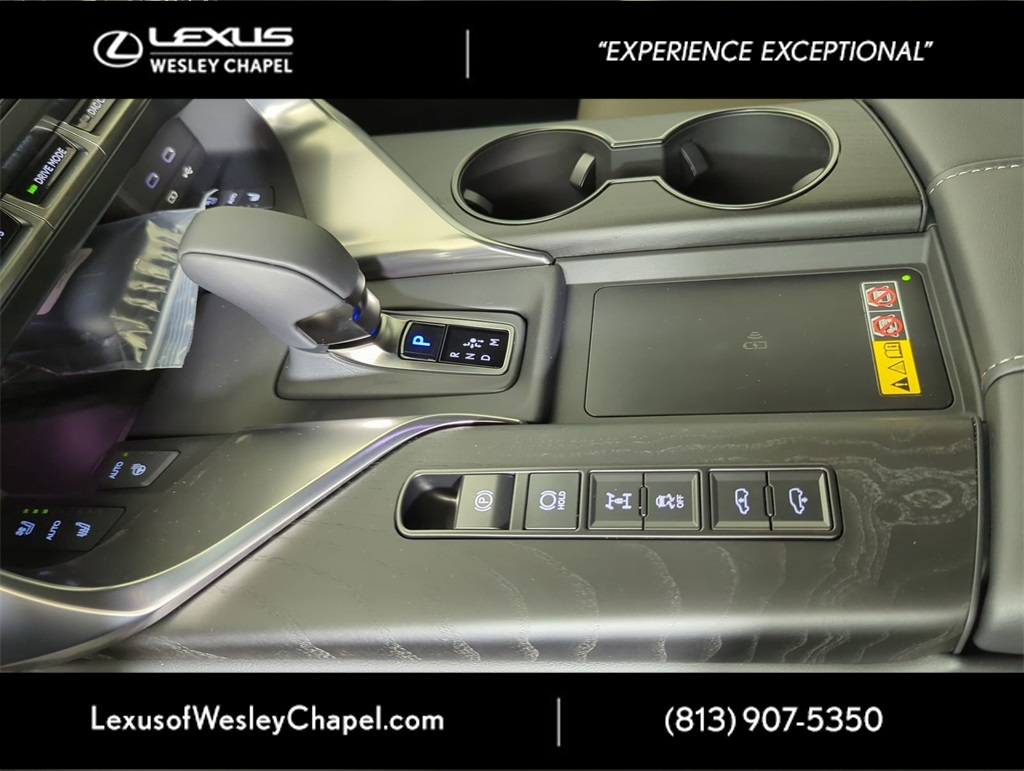 2025 Lexus LX photo 20