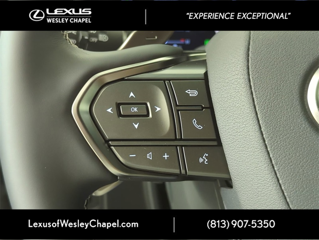 2025 Lexus LX photo 22