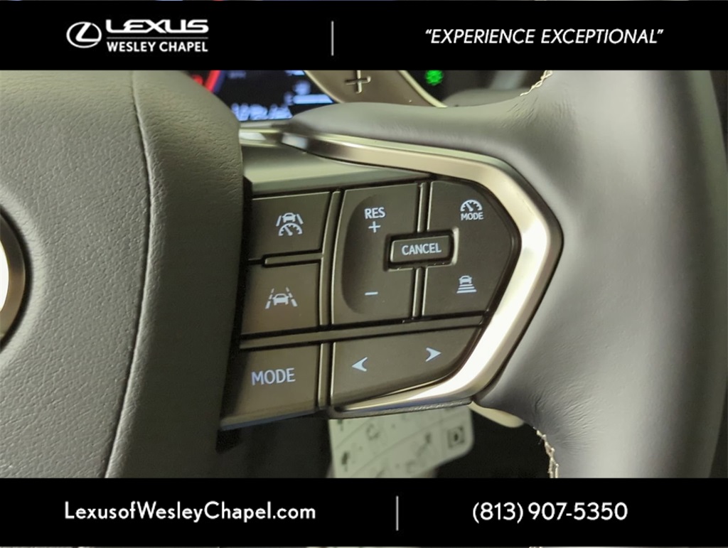 2025 Lexus LX photo 23
