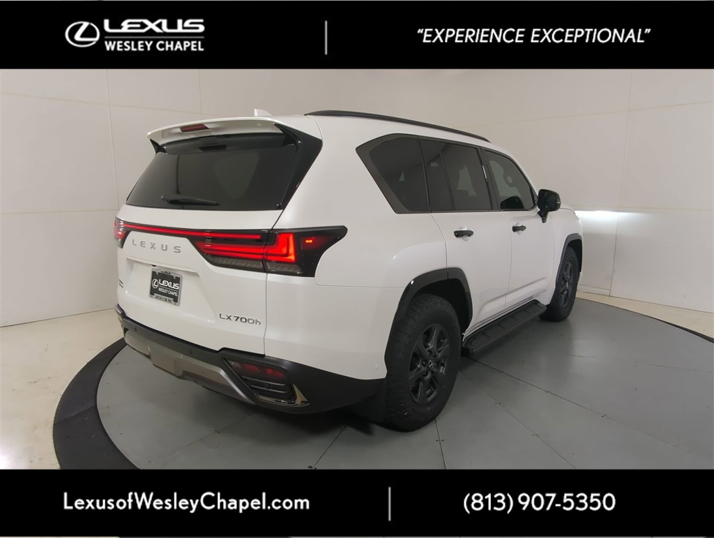 2025 Lexus LX photo 3