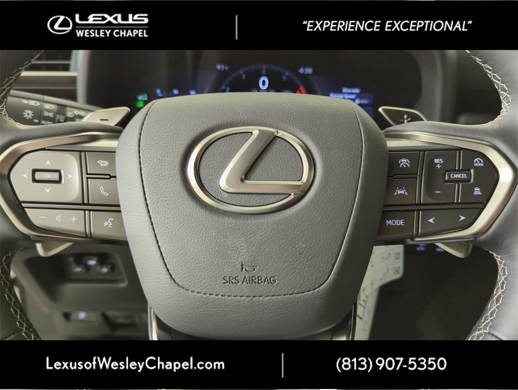 2025 Lexus LX photo 24