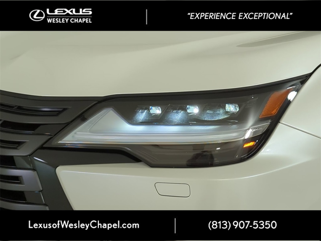 2025 Lexus LX photo 6