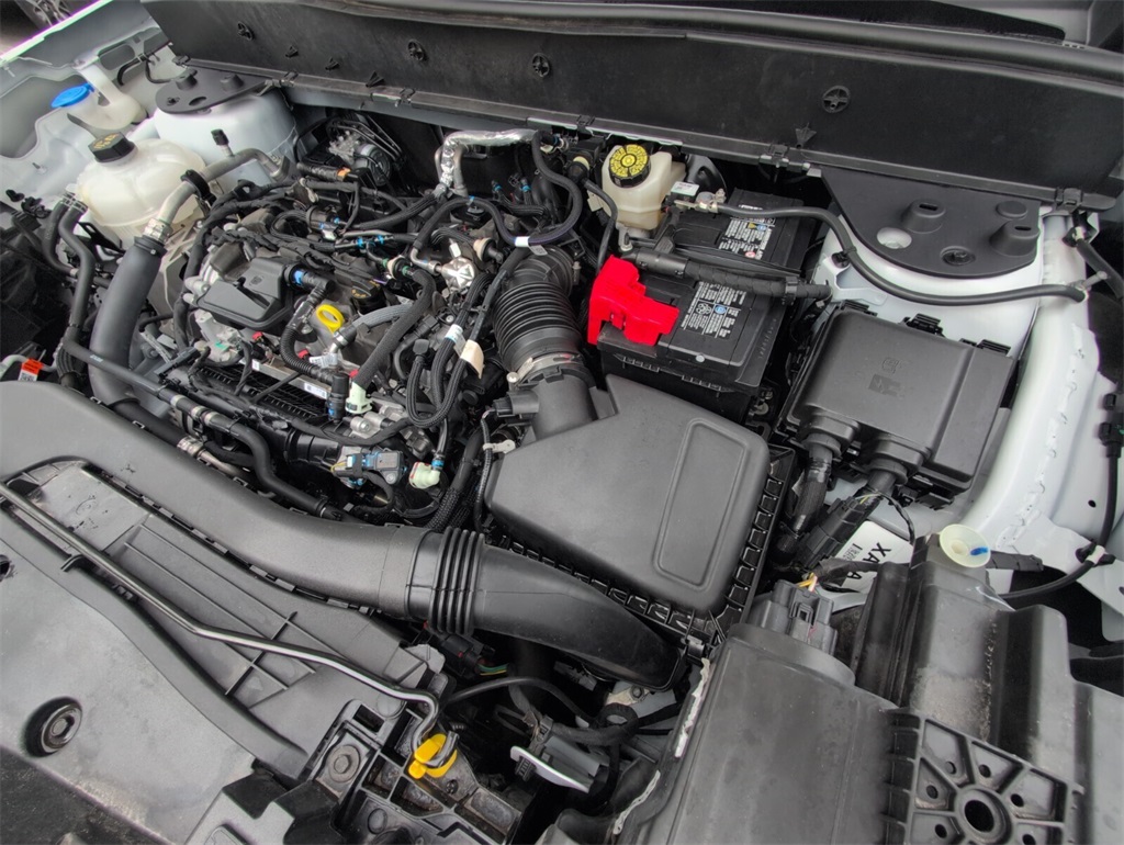 used 2024 Ford Bronco Sport car, priced at $20,888