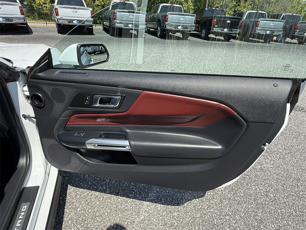 Image-15