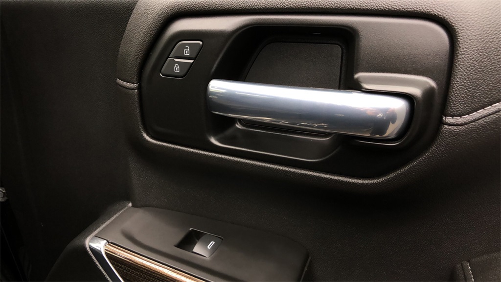 2021 Chevrolet Silverado 1500 - 171342