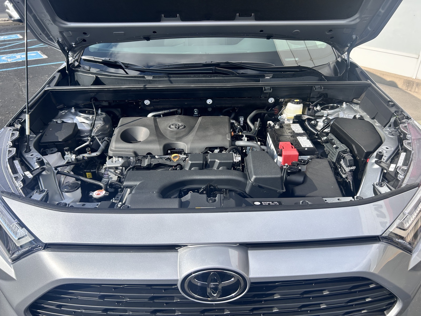 2025 Toyota RAV4 XLE photo 3